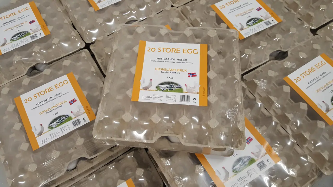 Cartons of 20 large eggs from Døskeland Bruk