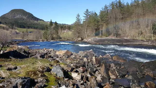 Steinar og stryk i Gaula