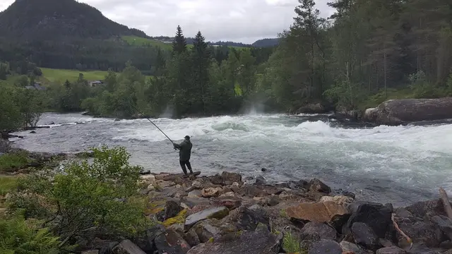 Fishing in the rapids