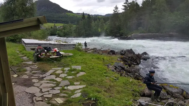 Fiskeplass ved Gaula