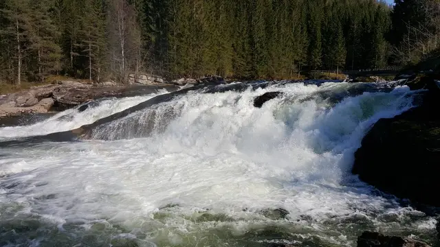 White water in Gaula