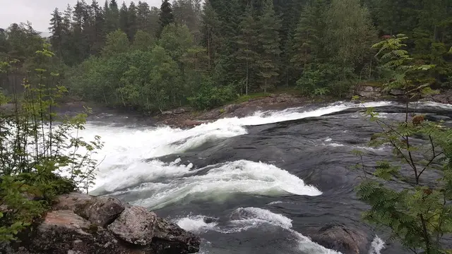 Rapids in Gaula