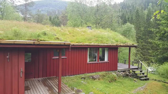 Hytte med terrasse