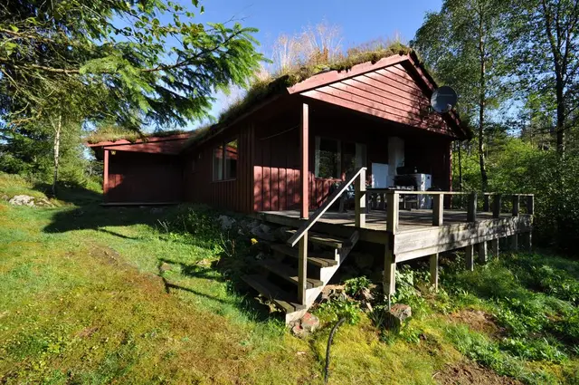 Hytte med veranda i skogen