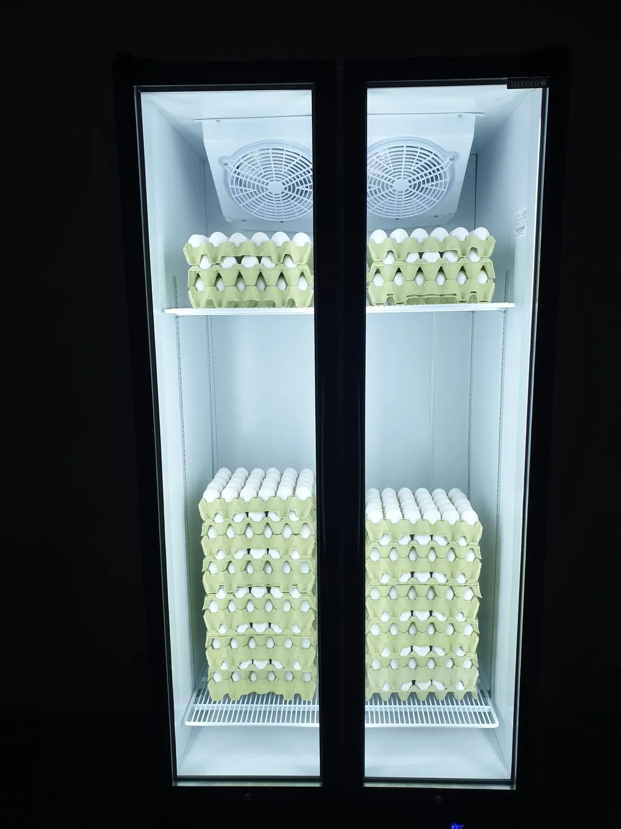 Fridge full of egg trays
